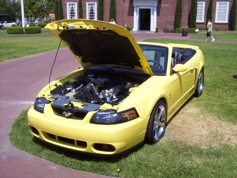 2002 Ford Mustang - This yellow 2002 Ford Mustang convertible is displayed with its hood open, revealing the engine compartment.