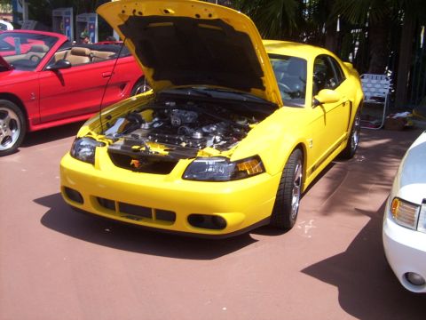 2002 Ford Mustang - Yellow 2002 Ford Mustang coupe on display, hood up. Another Mustang and part of a third car are visible.