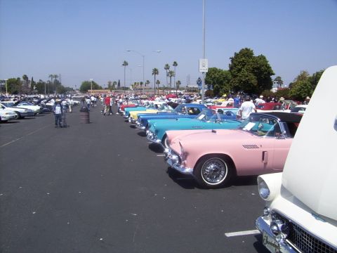 2002 Ford Mustang - Classic Thunderbirds lined up at a car show on a sunny day.