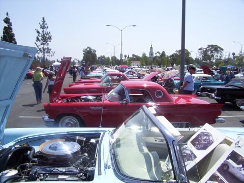 2002 Ford Mustang - Outdoor car show multiple classic Ford Thunderbirds and other vehicles on a sunny day.