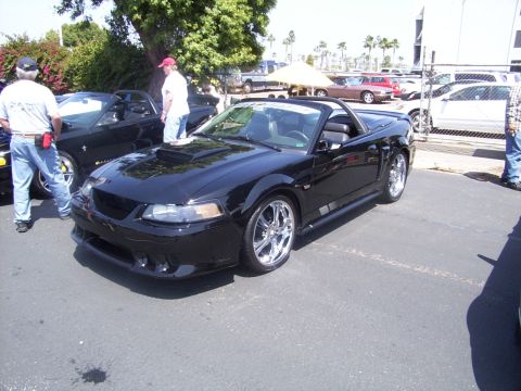 2002 Ford Mustang - A black convertible Mustang is parked at an outdoor event with other vehicles visible.