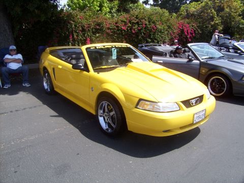 2002 Ford Mustang - A yellow convertible Mustang is parked next to other vehicles at an outdoor event.