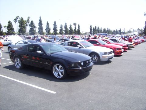 2002 Ford Mustang - A line of Ford Mustangs, including a black GT in the foreground, are parked at an outdoor event.