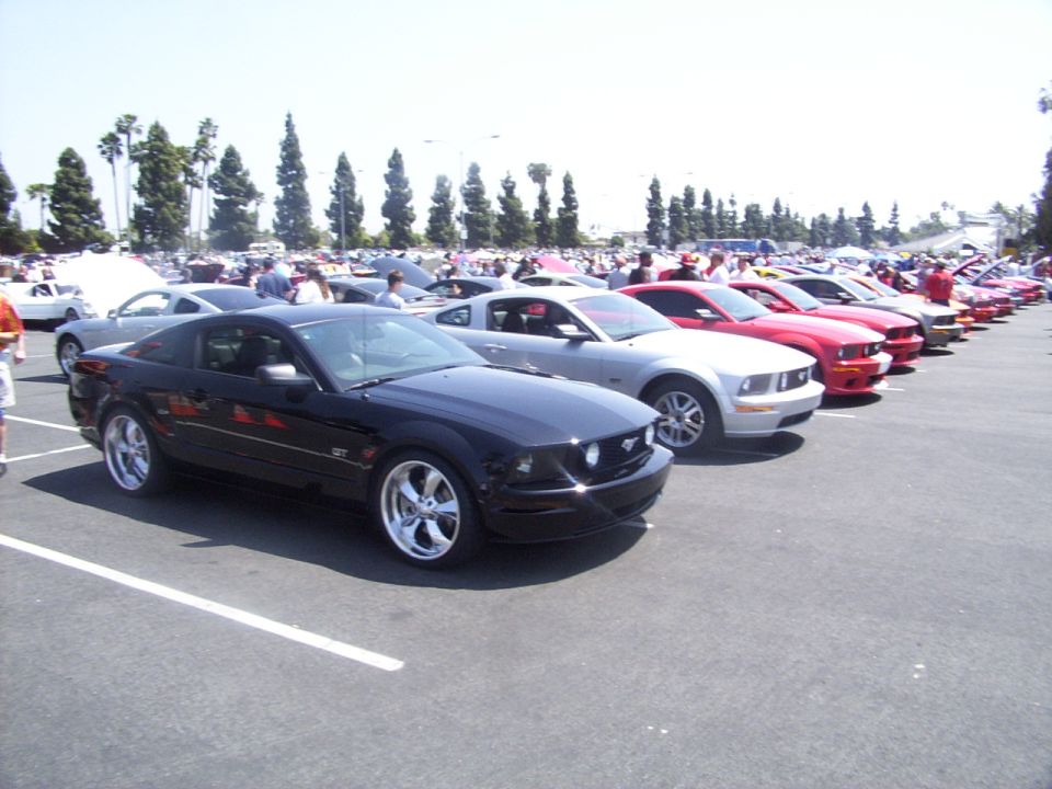 Black Ford Mustang GT parked in a lot with other Mustangs