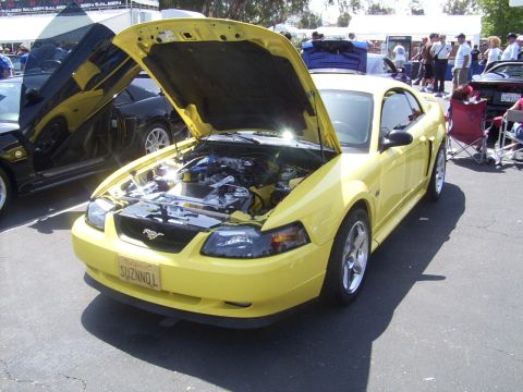 2002 Ford Mustang - Our Zinc GT