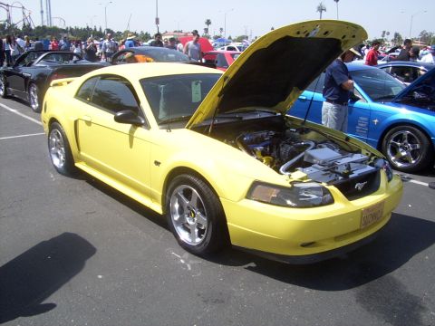 2002 Ford Mustang - Other profile