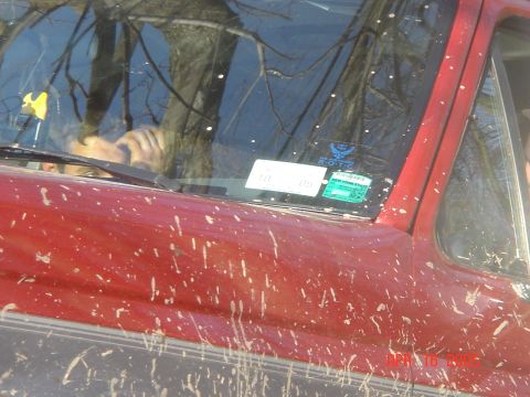 1995 Ford Bronco - A red SUV is covered in mud, with a New York State inspection sticker on the windshield.