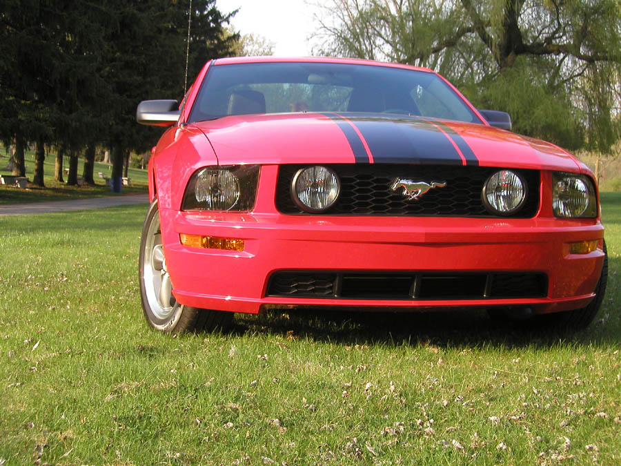 Red Ford Mustang GT with black hood stripes, front three-quarter view on grass