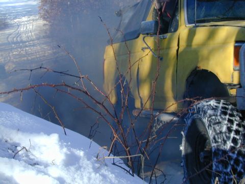 1979 Ford F-150 photo
