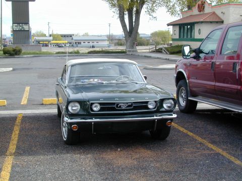 1966 Ford Mustang photo