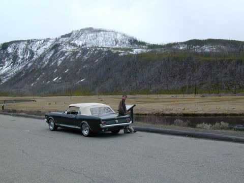 1966 Ford Mustang photo