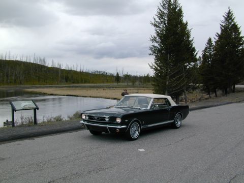 1966 Ford Mustang photo