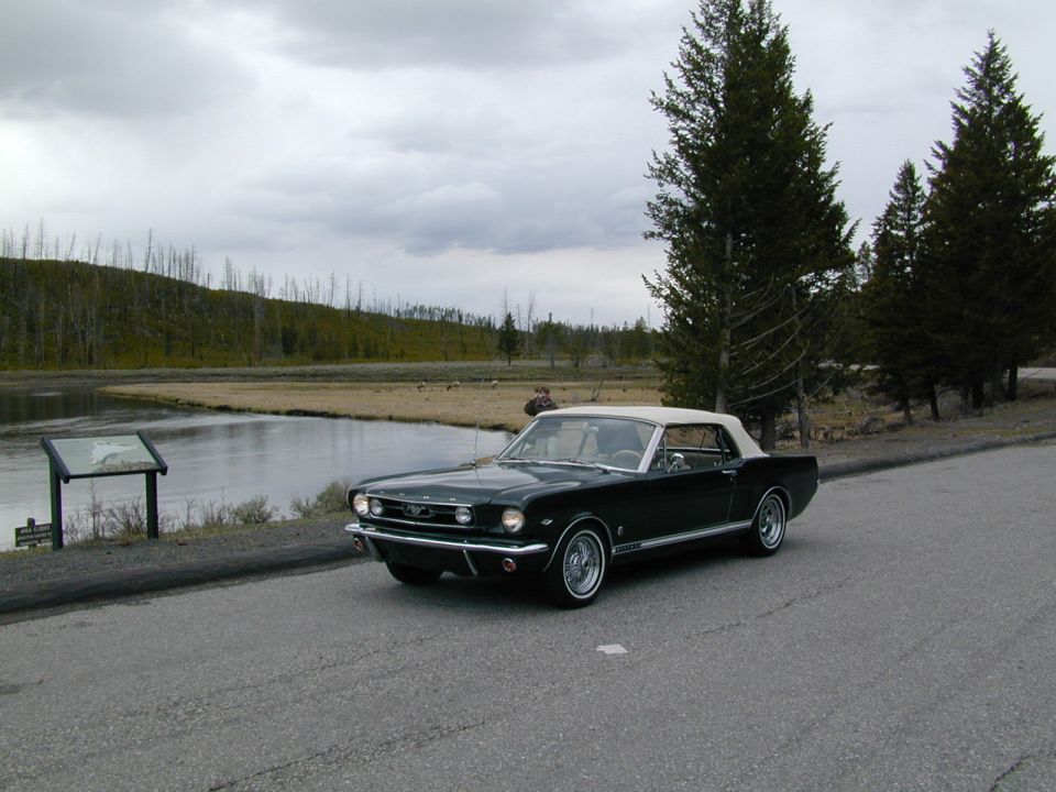 Dark green 1966 Ford Mustang convertible with a tan top parked by a river