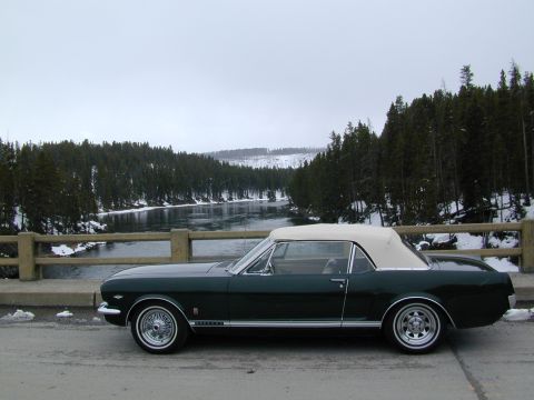 1966 Ford Mustang photo