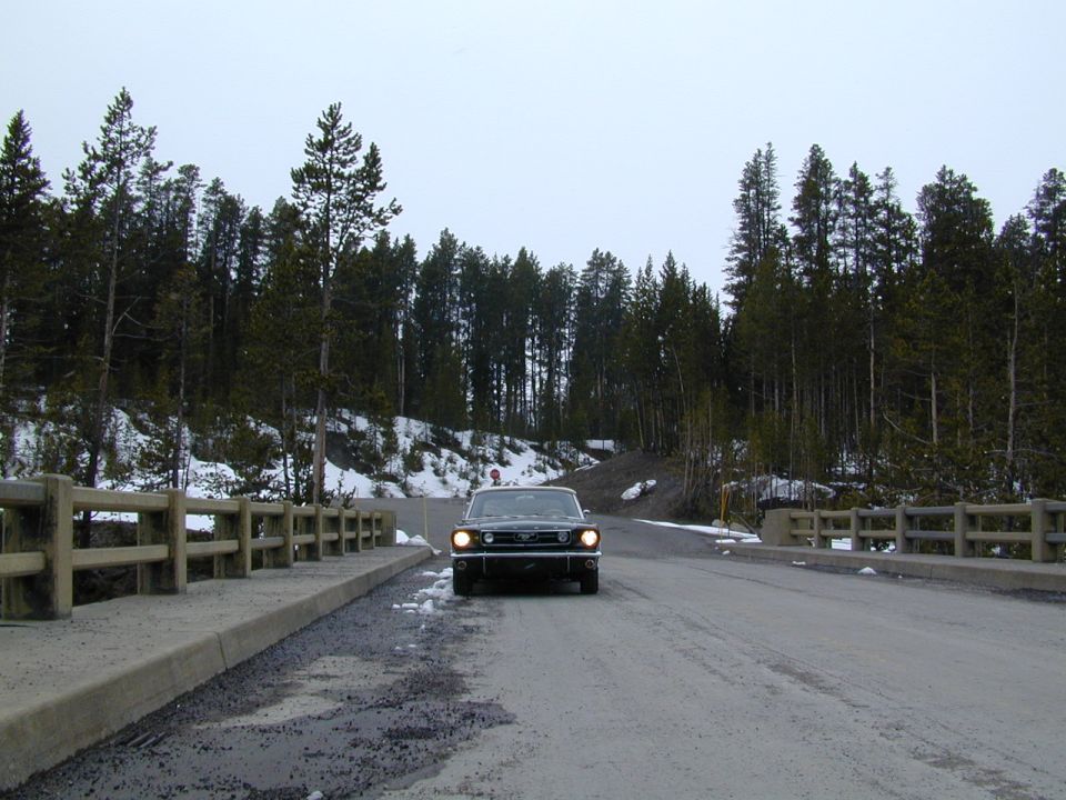 Front view of a dark 1965 Ford Mustang driving on a bridge with pine trees and snow on the sides