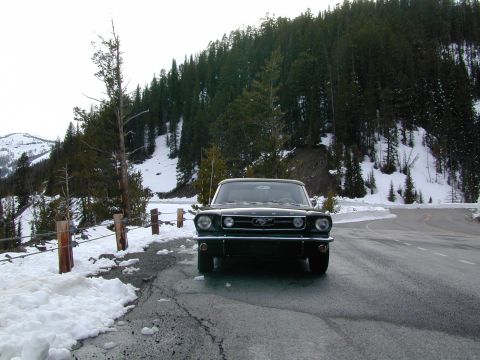 1966 Ford Mustang photo