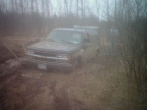 1995 Ford Bronco - A dark SUV is stuck in a muddy, wooded area.