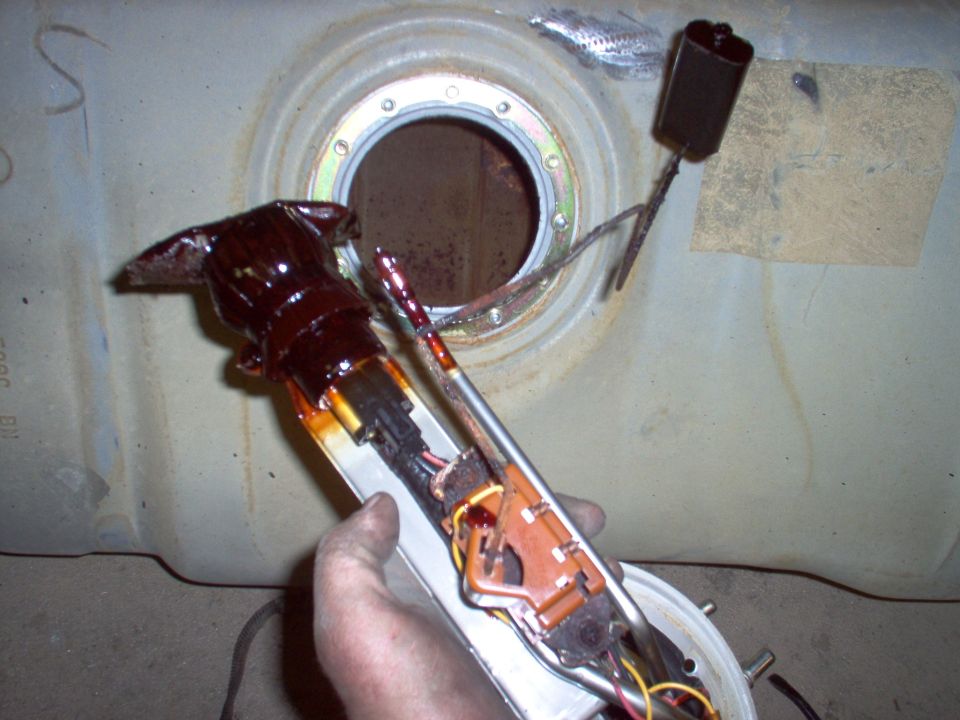 Hand holding a fuel pump module pulled from the lock-ring opening of a dirty fuel tank