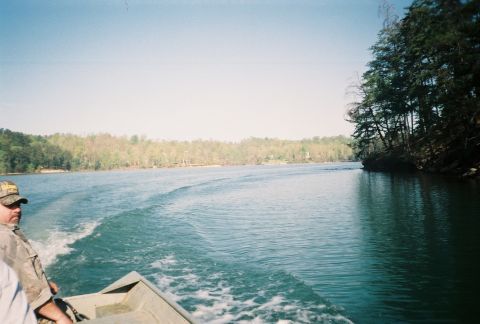 1988 Jeep Cherokee - A boat speeds across a lake, leaving a wake behind it under a clear blue sky.
