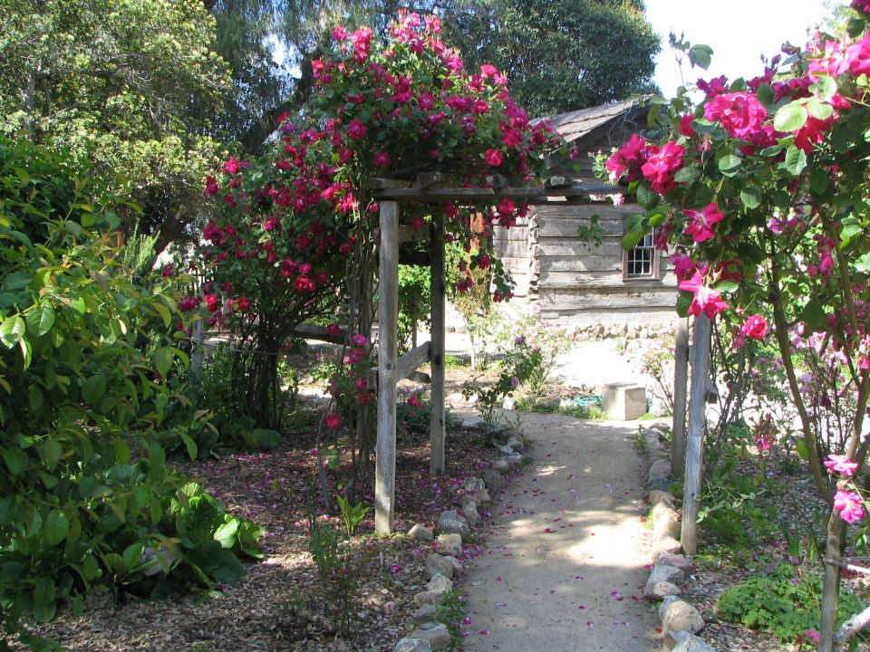 Path through a garden with a rose-covered arbor leading to a log cabin