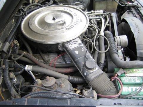 1985 Ford Mustang - The engine bay displays a 5.0 Liter 4V HO V8, consistent with a 1985 Ford Mustang, showing the air cleaner and battery.