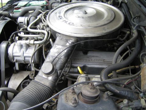 1985 Ford Mustang - The engine bay of a 1985 Ford Mustang, the 5.0 liter 4V H.O. air cleaner and visible engine components.