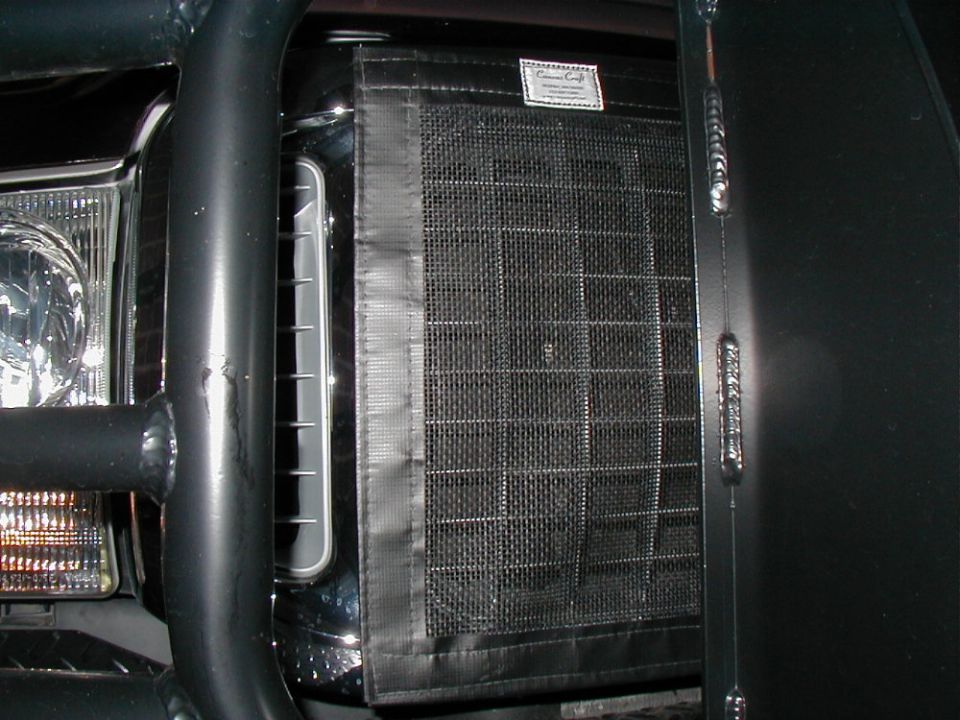 Black mesh bug screen over front grille beside chrome headlight and tubular guard bar
