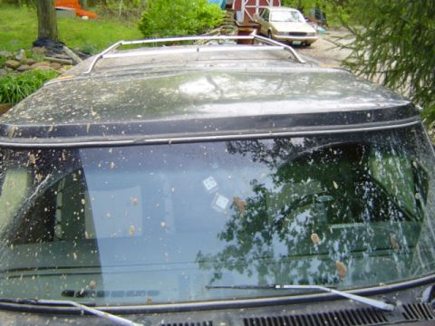 1979 Ford Bronco - A muddy black SUV sits in a yard with another car in the background.