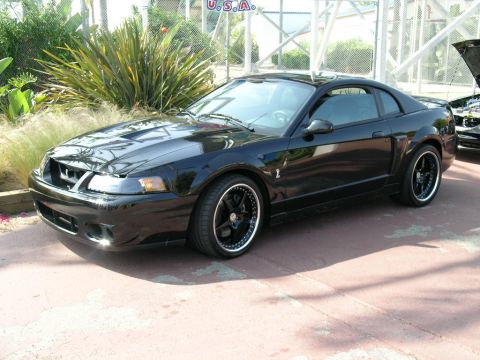 1993 Ford Probe - Black coupe with custom wheels and a prominent grille, parked next to another vehicle with its hood up.