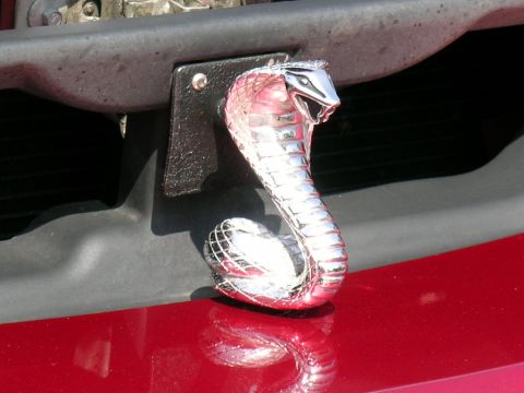 1993 Ford Probe - A chrome cobra hood ornament is attached to the front of a red vehicle.