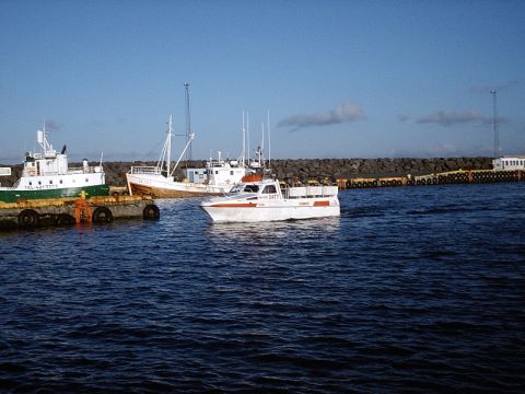 1996 Ford Bronco - Several boats are docked and moving in a harbor under a clear blue sky.
