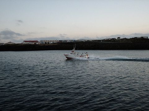 1996 Ford Bronco - A white and red boat travels across the water near a coastline with buildings.