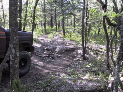 1983 Ford Bronco - A brown 1980s Ford Bronco navigates a rocky forest trail.