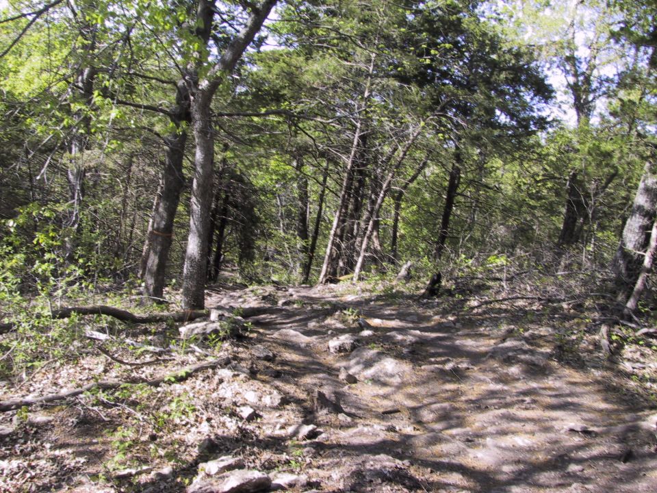 Rocky limestone-ledge dirt trail climbing through a green hardwood forest with orange trail blazes