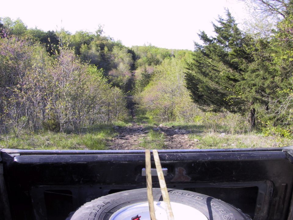 Spare tire strapped in rear bed of topless 4x4 looking out at a rocky wooded trail