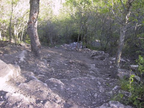 1983 Ford Bronco - A rough, rocky trail winds through a wooded area with trees and brush.