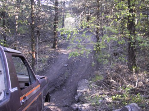1983 Ford Bronco - The vehicle is navigating a rough, unpaved trail surrounded by trees and underbrush.