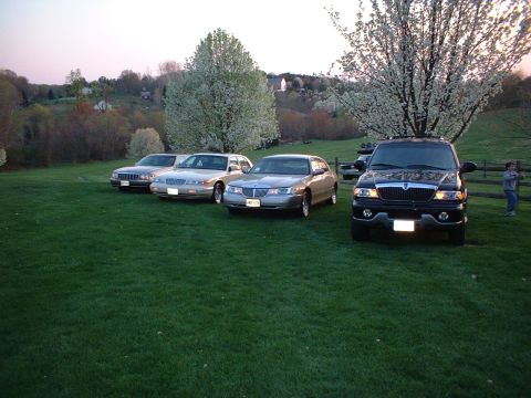 1996 Mercury Grand Marquis - Some of the cars, off driveway while cleaning driveway/garage