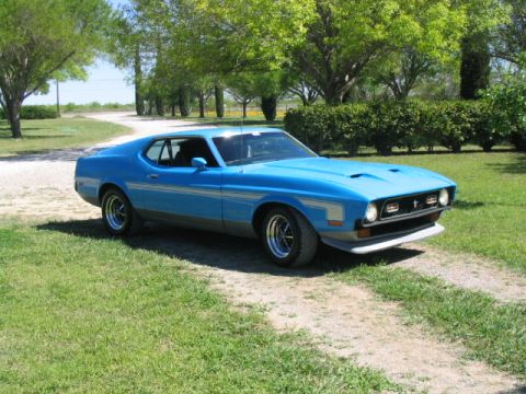 1972 Ford Mustang - This blue 1971 Ford Mustang is parked on a dirt road, surrounded by greenery.