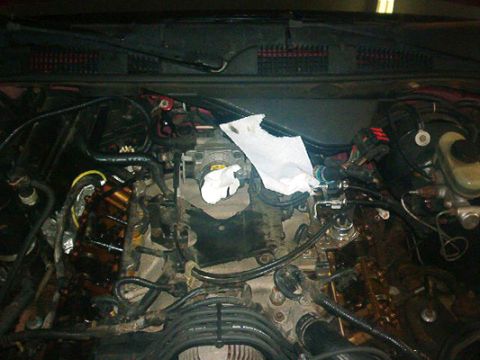 1992 Mercury Grand Marquis - March 2, 2005 (Engine with valve covers, spark plug wires & coil packs removed)