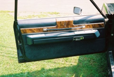 1984 Mercury Grand Marquis - Interior view of the driver's side door panel on a 1984 Mercury Grand Marquis.