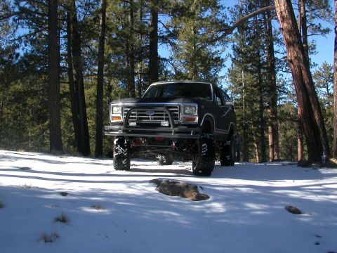 1984 Ford Bronco - Ford Bronco sits in a snow-covered wooded area, its large tires visible.