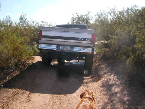1992 Ford F-150 - A dog watches a Ford F-150 navigate a muddy off-road path.
