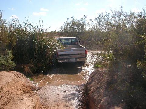 1992 Ford F-150 - A 1992 Ford F-150 navigates a water-filled dirt path surrounded by vegetation.