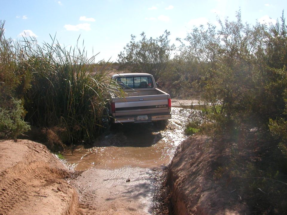 Silver 1992 Ford F-150 driving through a muddy ditch, rear view
