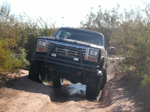 1984 Ford Bronco - This 1984 Ford Bronco navigates a challenging off-road path with dense vegetation.