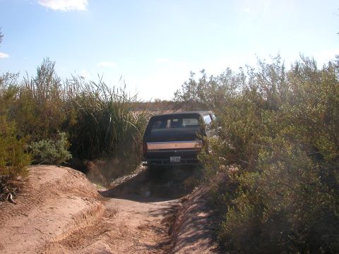 1984 Ford Bronco - A dark SUV navigates a dusty, overgrown trail, viewed from behind.
