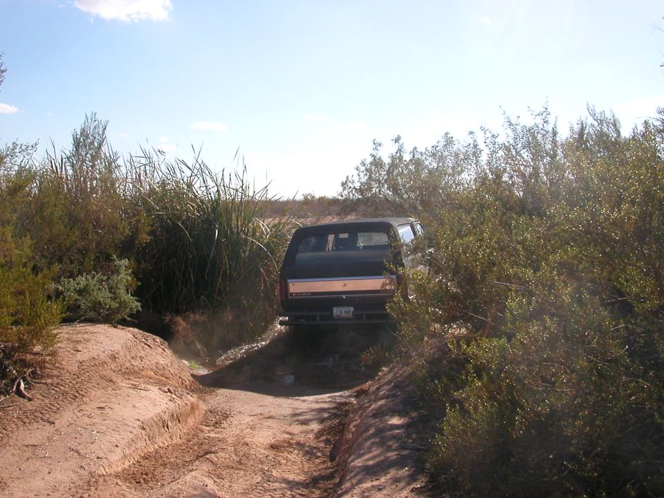 Dark SUV with a silver stripe on the tailgate, seen from the rear on a dirt track