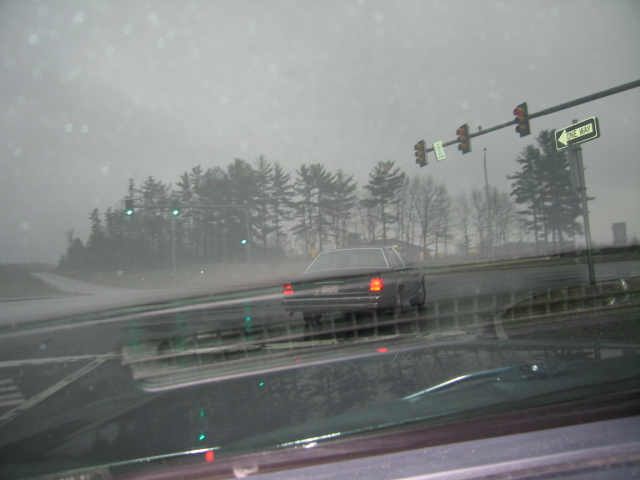 Dark sedan's rear view in rain, with traffic lights and trees