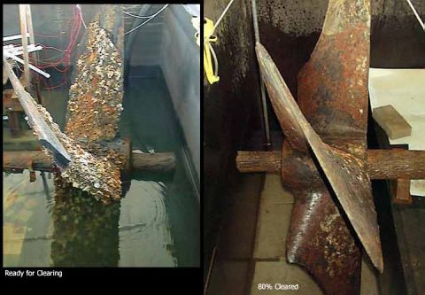 1988 Ford Bronco - After about a year in reduction, the marine growth can begin to be peeled away, because the soft iron surface under it has stabalized.